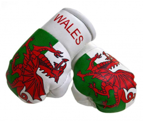 Mini Boxhandschuhe Wales