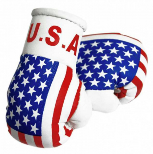 Mini Boxhandschuhe - USA