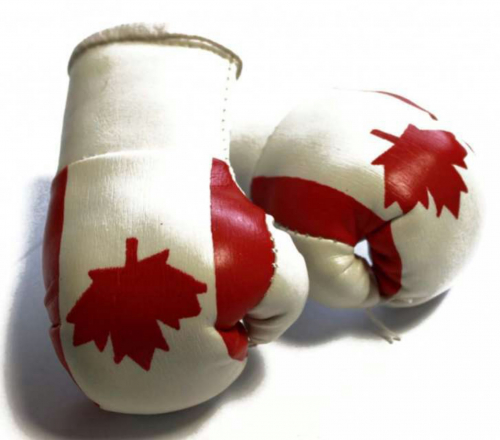 Mini Boxhandschuhe - Kanada