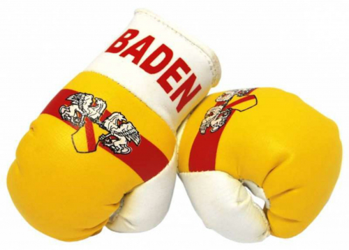 Mini Boxhandschuhe - Baden
