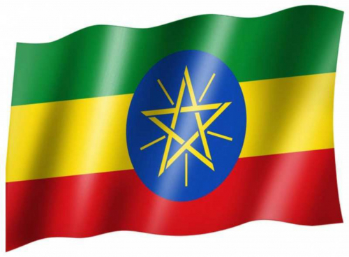Fahne Äthiopien | 236