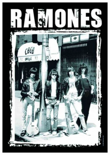 Posterfahne Ramones | 768