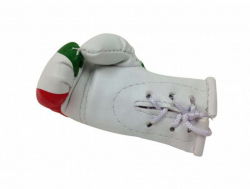 Mini Boxhandschuhe Iran