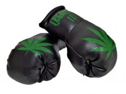 Mini Boxhandschuhe Cannabis