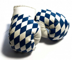 Mini Boxing Gloves - Bavaria