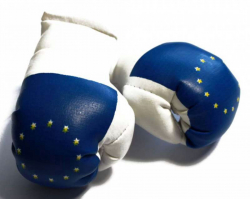 Mini Boxhandschuhe - Europa