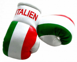 Mini Boxing Gloves - Italy