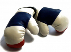 Mini Boxhandschuhe - Frankreich
