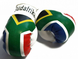Mini Boxhandschuhe - Südafrika