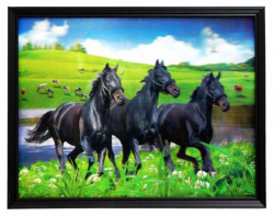 Framed 3D Picture Black Horses