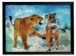 Framed 3D Picture Lionesses
