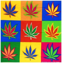 Bandana Halstuch Cannabis Pop Art