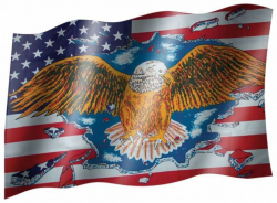Fahne USA Adler