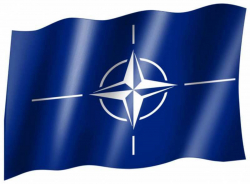 Fahne Nato