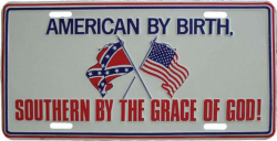 Tin Sign American by birth - 30cm x 15cm
