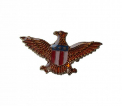 Badge Pin Eagle