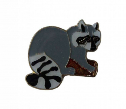 Raccoon Pin Badge