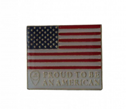 USA Pin Anstecker