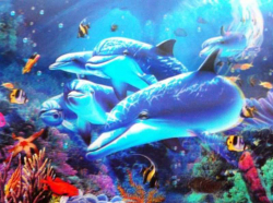 3D Poster Dolphins