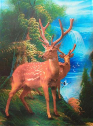 3D Poster - Hirsche in freier Natur