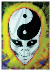 Posterfahne Yin Yang Alien | 800
