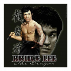 Aufkleber Bruce Lee | 6583